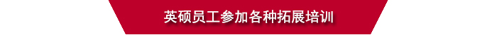 英硕员工参加各种拓展培训.jpg 佰富彩员工参加各种拓展培训.jpg