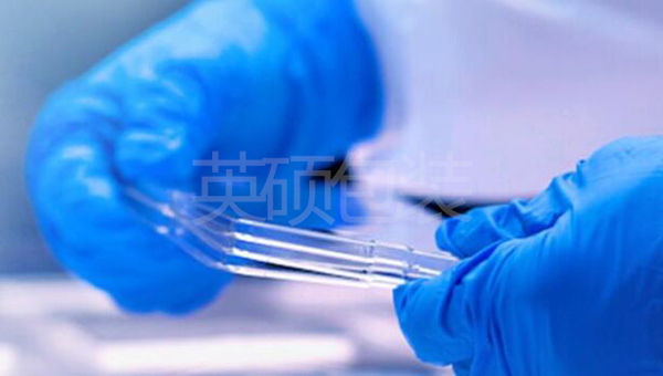 微生物屏障.jpg 微生物屏障.jpg