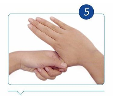5.png