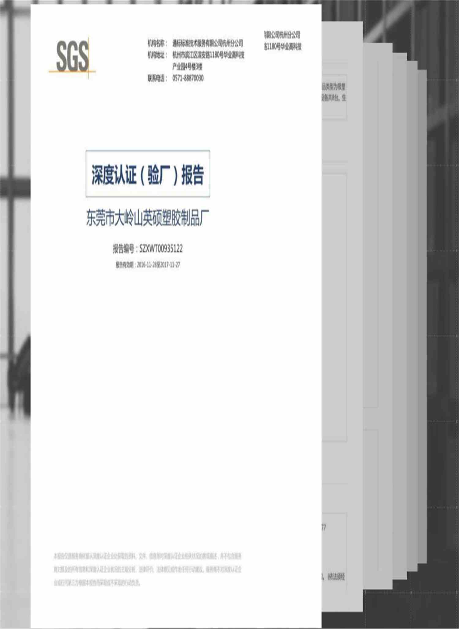 SGS深度验厂报告